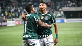 Palmeiras