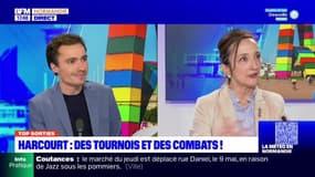 Top Sorties du vendredi 3 mai - Harcourt : des tournois et des combats !