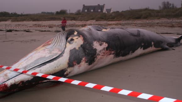 Retrouvez toutes les photos de notre Témoin BFMTV dans la rubrique dédiée. Retrouvez toutes les photos de notre Témoin BFMTV dans la rubrique dédiée.