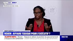 Rouen: "Les premiers résultats d'analyse sur la qualité de l'air et de l'eau sont extrêmement rassurants" (Sibeth Ndiaye)