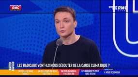 Ecologistes radicaux : "On aimerait ne pas avoir à en arriver là"