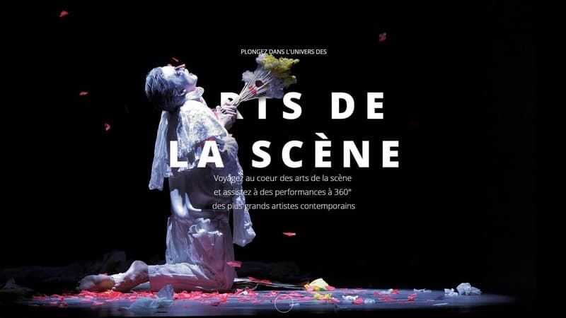 La page d'accueil du site dédié aux arts de la scène de l'institut culturel de Google.