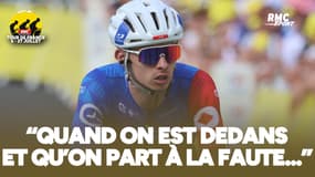 Tour de France (E20) :  "J'ai tout bien fait jusqu'à cette chute", Romain Grégoire ne cache pas ses regrets