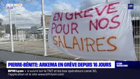 Pierre-Bénite: les salariés d'Arkema en grève depuis 16 jours