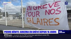 Pierre-Bénite: les salariés d'Arkema en grève depuis 16 jours