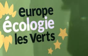 Logo EELV, image d'illustration.