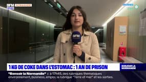Caen: une femme condamnée à un an de prison pour trafic de stupéfiant