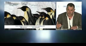 COP21: le réalisateur Luc Jacquet part en Antarctique pour sensibiliser au réchauffement climatique