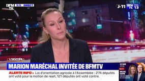 Frères musulmans: "Je défends l'interdiction de cette idéologie", affirme Marion Maréchal