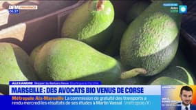 Marseille: des avocats de Corse acheminés par voilier