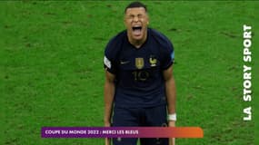 Coupe du monde 2022: merci les Bleus 