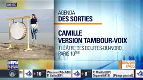 Sortir à Paris : Camille en concert au Théâtre des Bouffes-du-Nord