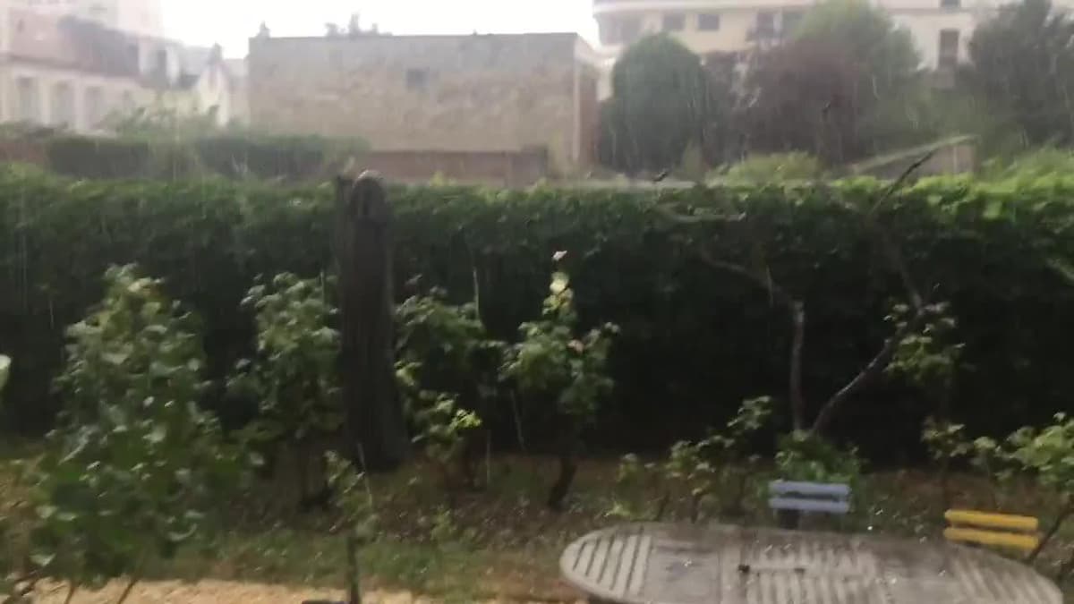 placeholder video