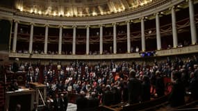 L'Assemblée nationale - Thomas Samson - AFP