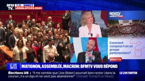 Comment compose-t-on un groupe parlementaire? BFMTV répond à vos questions