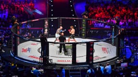 Le PFL et le Bellator fusionne