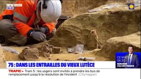 Paris: à la découverte du vieux Lutèce