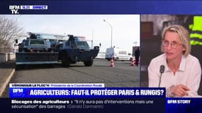 Mobilisation des agriculteurs: le marché de Rungis est "la cible", affirme Véronique Le Floc’h (présidente de la Coordination Rurale)