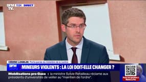 Mesures d'intérêt éducatif: "L'objectif c'est de répondre à des premiers faits de faible gravité" détaille le porte-parole du ministère de la Justice