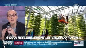 La chronique d'Anthony Morel : A quoi ressembleront les villes du futur ? - 20/11