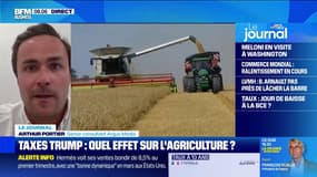 Droits de douane américains: quels effets sur l'agriculture en France? 