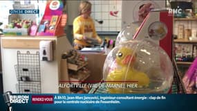 "Mes enfants m'ont appris à poster mes articles sur Facebook et Instagram. Et là, un message, deux messages... On n'a pas arrêté": cette commerçante raconte son passage à la vente en ligne durant le confinement
