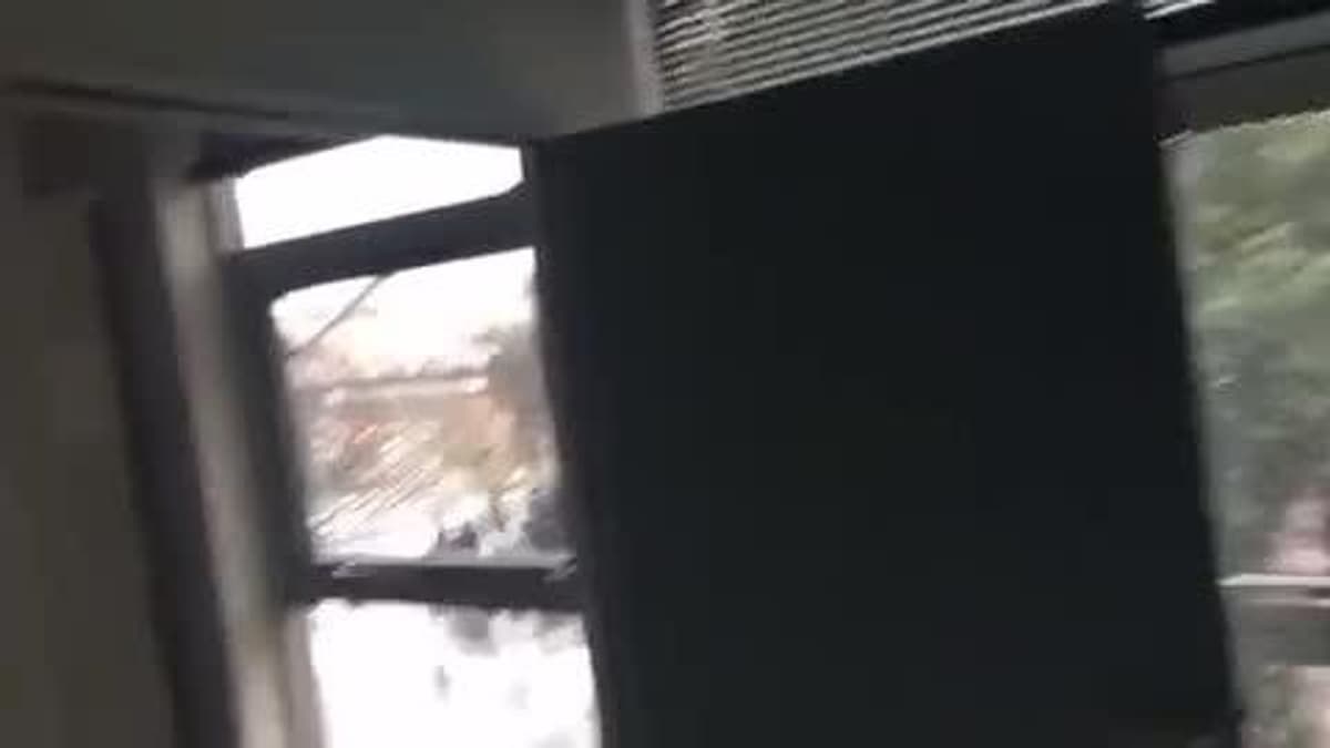 placeholder video