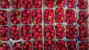 Des fraises sur un marché toulousain le 20 mai 2022