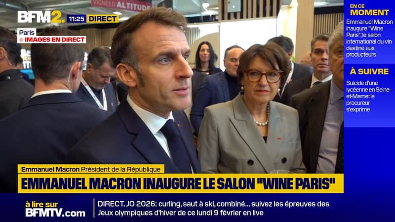 "La France, c'est le pays du vin": Emmanuel Macron défend la filière viticole au salon "Wine Paris"