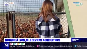 Notaire à Lyon, elle devient agricultrice