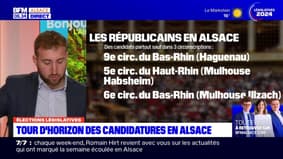 Législatives: tour d'horizon des principales candidatures en Alsace