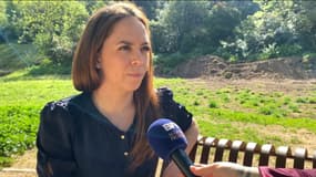 Christelle Gervaise, épouse du médecin militaire Alban Gervaise, a pris la parole auprès de BFM Marseille. 