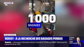 "Je n'ai toujours pas reçu mes valises après 46 jours d'attente": des voyageurs à la recherche de leurs bagages perdus à Roissy