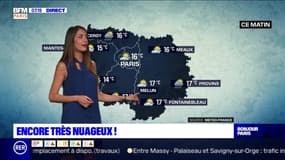 Météo Paris-Île-de-France du 2 juillet: Un temps nuageux dans la matinée