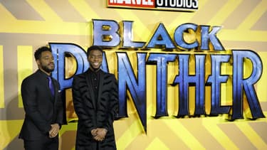 Black Panther est le 18e film de l'univers Marvel.
