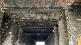 Des associations protestent contre ces filets anti-pigeons, installés fin janvier par la ville de Paris au plafond du tunnel situé sous la Recyclerie, dans le 18e arrondissement de la capitale.