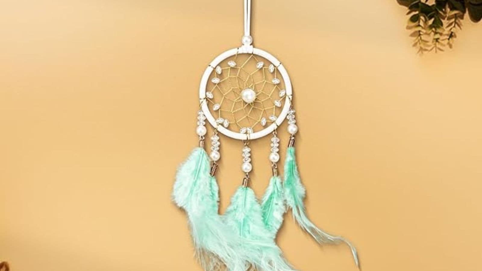 Amazon Haul Amazon Haul