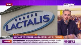 Lactalis va considérablement réduire sa collecte de lait en France 