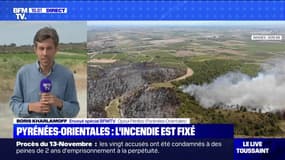 Incendie dans les Pyrénées-Orientales: le feu près d'Opoul-Périllos est enfin fixé