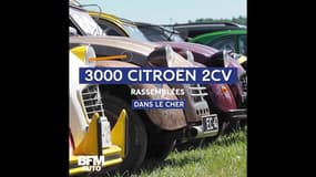 3000 Citroën 2CV réunies pour célébrer le centenaire de la marque