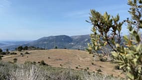 La commune de Levens doit accueillir un parc photovoltaïque.