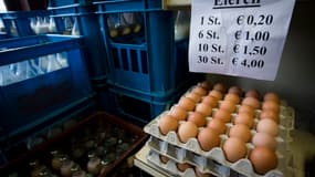 Des oeufs contaminés ont été importés dans plusieurs pays européens. 