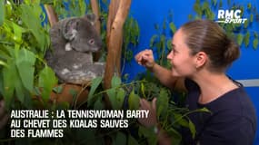 Australie : La tenniswoman Barty au chevet des koalas sauvés des flammes
