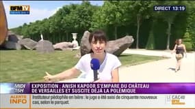Anish Kapoor et son "Dirty Corner" font polémiques au Château de Versailles