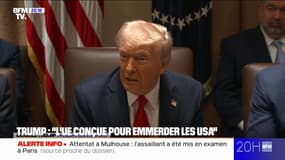 Pour Donald Trump, "l'Union européenne a été conçue pour emmerder les États-Unis"
