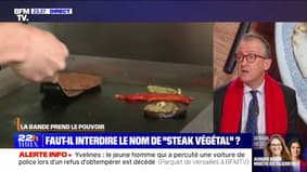 LA BANDE PREND LE POUVOIR - Faut-il interdire l'appellation "steak végétal"?