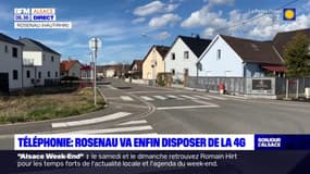Haut-Rhin: la commune de Rosenau va accueillir la 4G après 15 ans d'attente