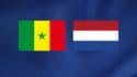 Diffusion Sénégal – Pays-Bas : à quelle heure et sur quelle chaîne voir le match en direct ?