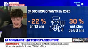 Surface agricole, nombre d'exploitants: quelle place pour l'agriculture en Normandie?