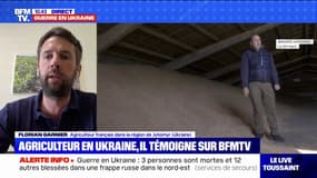 "Notre travail est désorganisé": cet agriculteur en Ukraine alerte sur ses difficultés en pleine guerre